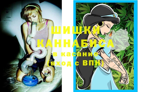 a pvp Белокуриха