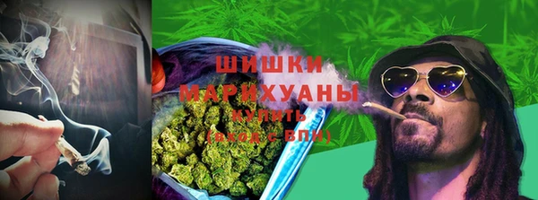a pvp Белокуриха